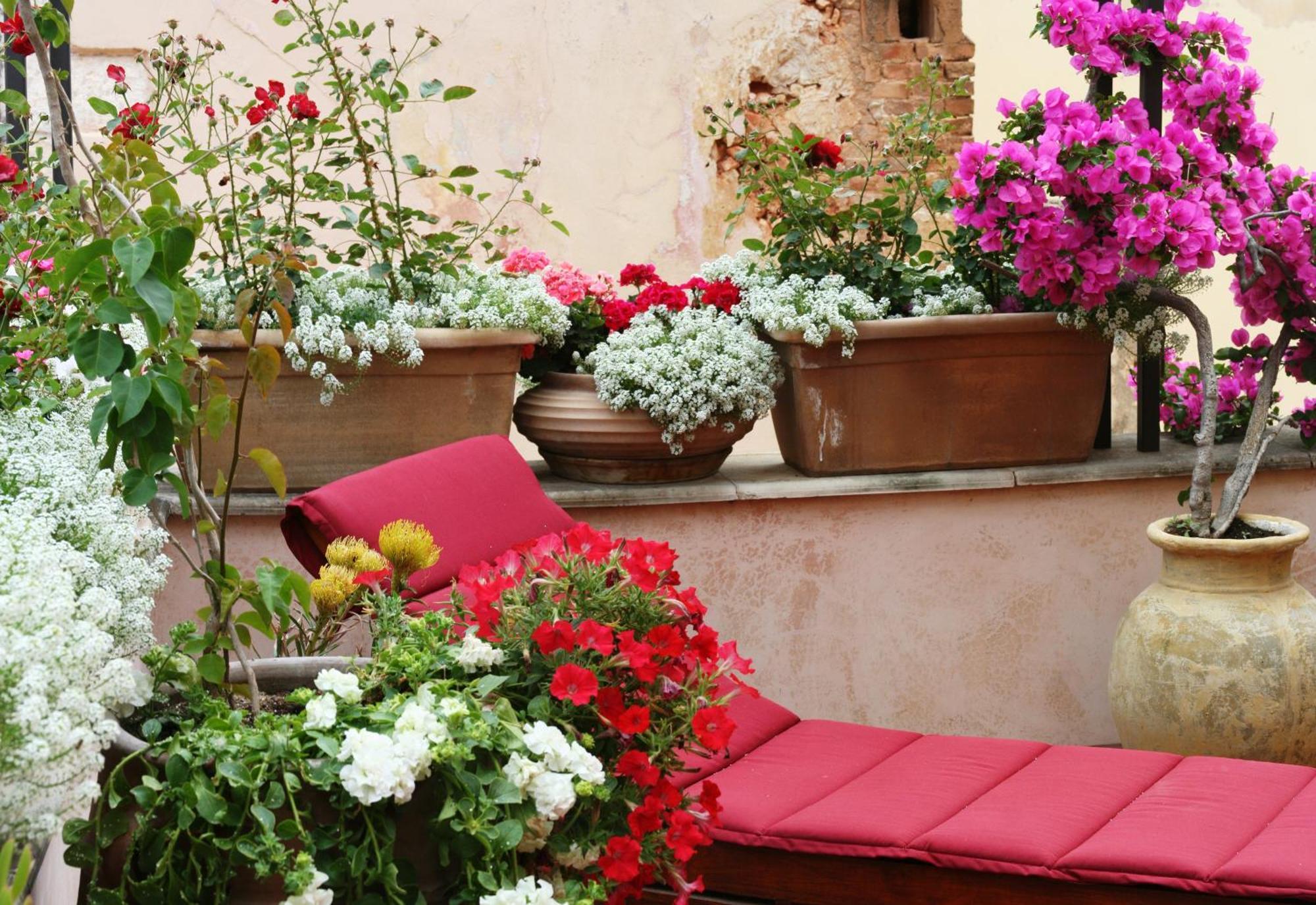 Ionas Boutique Hotel Chrissi Akti Chania Exterior foto